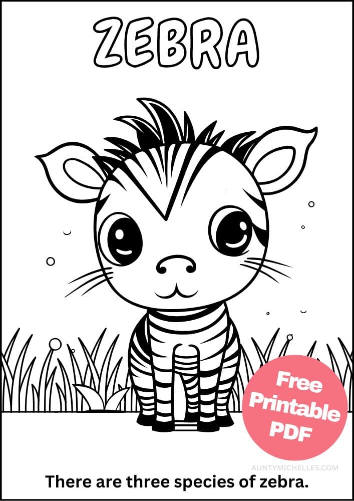 Zebra coloring page with fun fact
