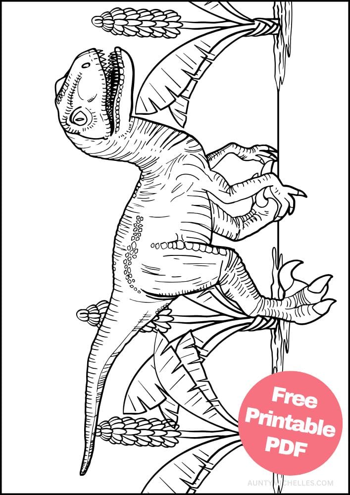 dinosaur coloring page with a realistic velociraptor