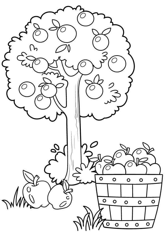 Free Printable Fall Coloring Pages for Kids Autumn Sheets apple picking tree coloring book pdf download September October November