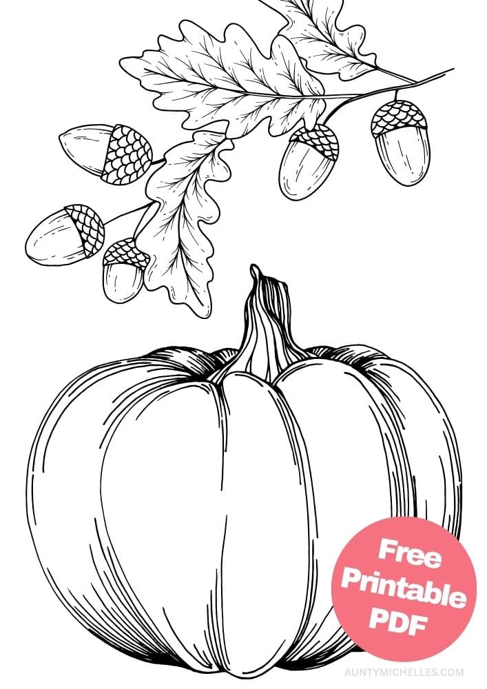 coloring page with a sophisticated pumpkin with a branch of acorns and leaves above.