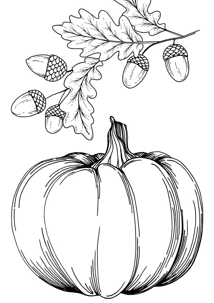 Free Printable Fall Coloring Pages for Kids Autumn Sheets pumpkin acorn coloring book pdf download September October November