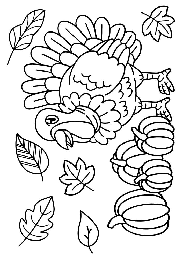 Free Printable Fall Coloring Pages for Kids Autumn Sheets turkey pumpkin leaves coloring book pdf download September October November