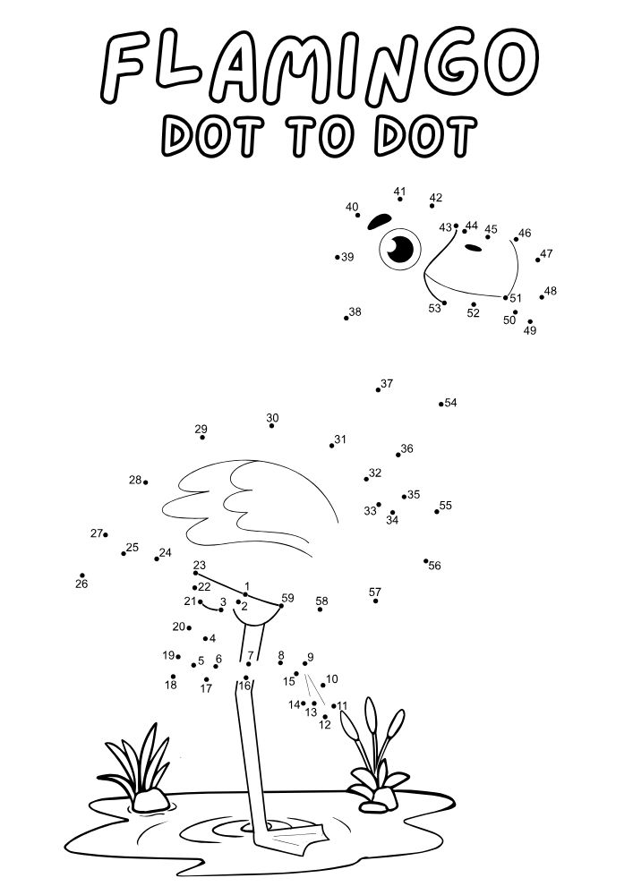 Free printable flamingo dot to dot activity for kids in the summer