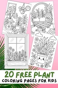Free Printable Plant Coloring Pages for Kids Nature Colouring Book Printout Pinterest Pin, Plant, Gardening, Flowers, Fruits, Vegetables, Easy, Simple, Difficult, Printout, PDF, Nature Activities for Kids, Gardening Activities for Kids