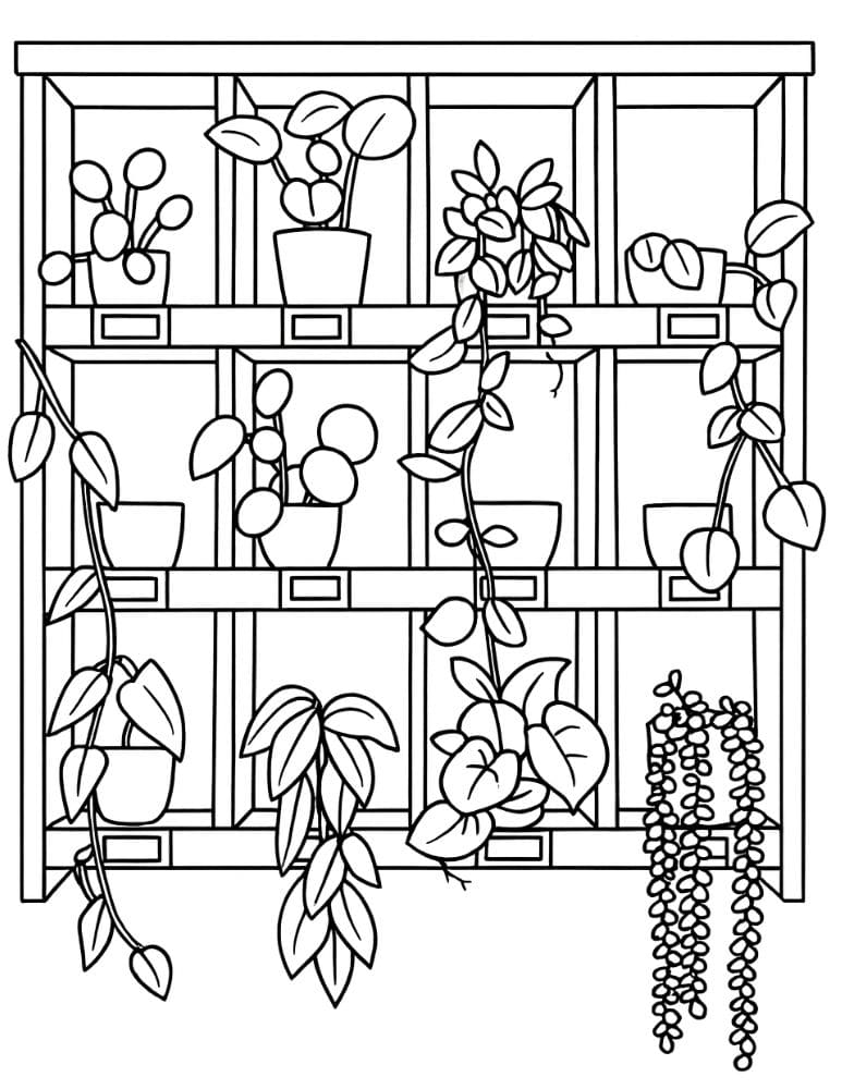 Free Printable Plant Coloring Pages for Kids Nature Colouring Book Printout shelf of plants
