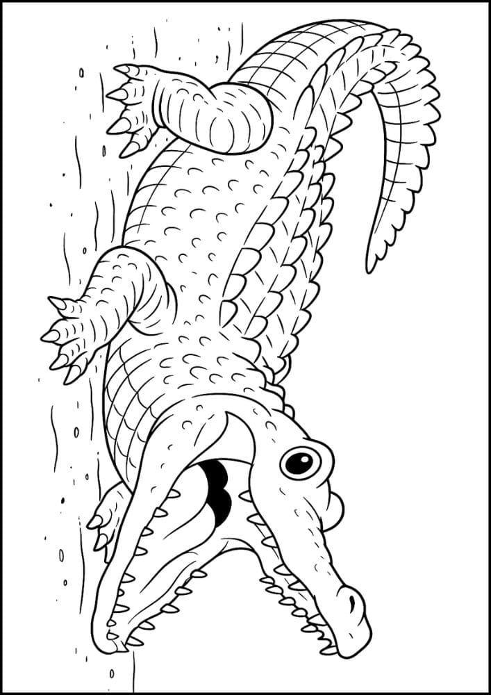 Free Printable Reptile Coloring Pages for Kids Colouring Book cute crocodile