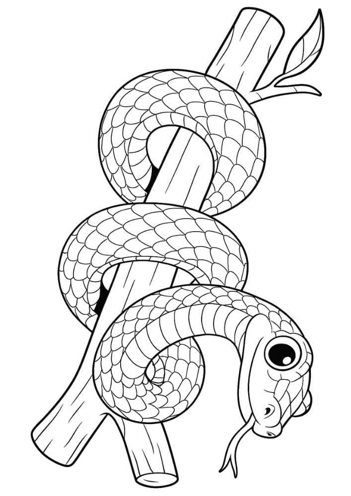 Free Printable Reptile Coloring Pages for Kids Colouring Book cute snake wrapped branch