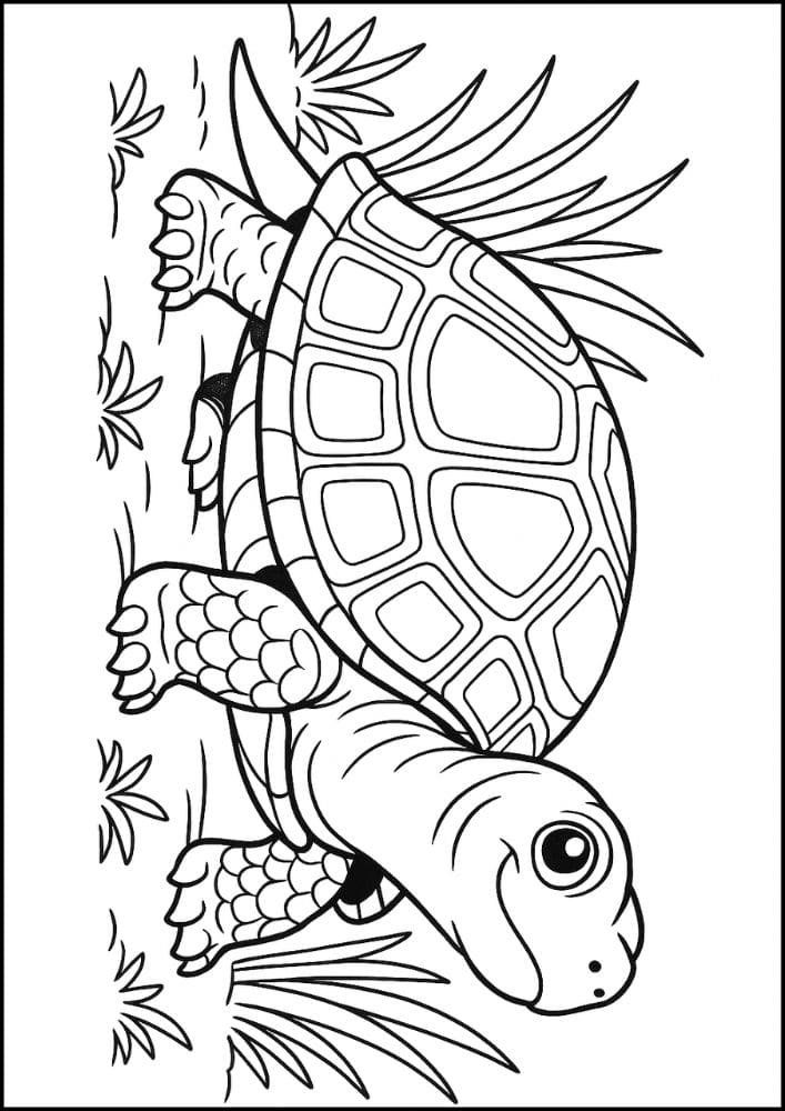 Free Printable Reptile Coloring Pages for Kids Colouring Book cute turtle sweet