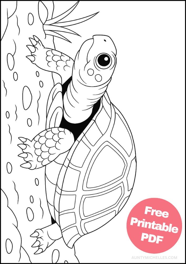 Free Printable Reptile Coloring Pages for Kids Colouring Book old turtle