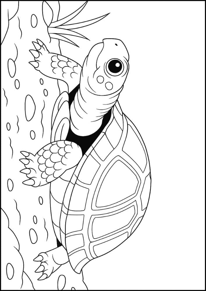 Free Printable Reptile Coloring Pages for Kids Colouring Book old turtle