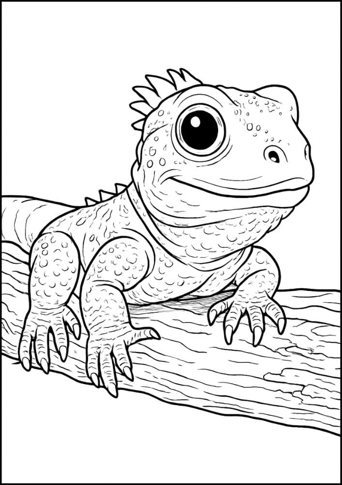 Free Printable Reptile Coloring Pages for Kids Colouring Book realistic lizard