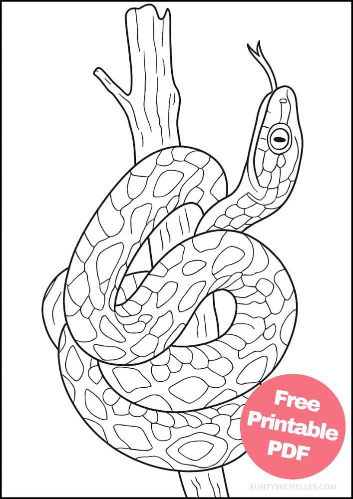 Free Printable Reptile Coloring Pages for Kids Colouring Book realistic snake wrapped tree