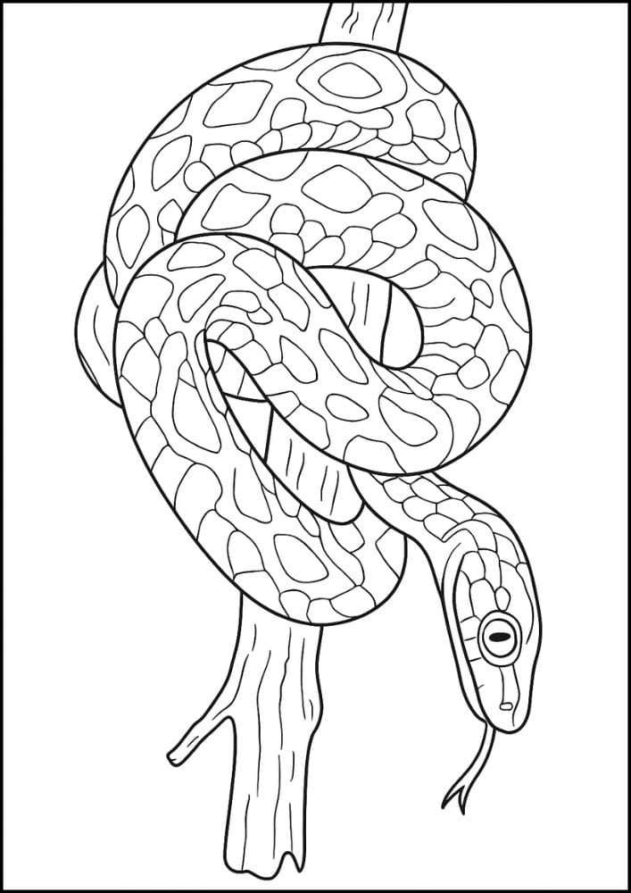 Free Printable Reptile Coloring Pages for Kids Colouring Book realistic snake wrapped tree