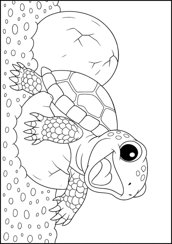 Free Printable Reptile Coloring Pages for Kids Colouring Book sea turtle egg hatch hatching beach