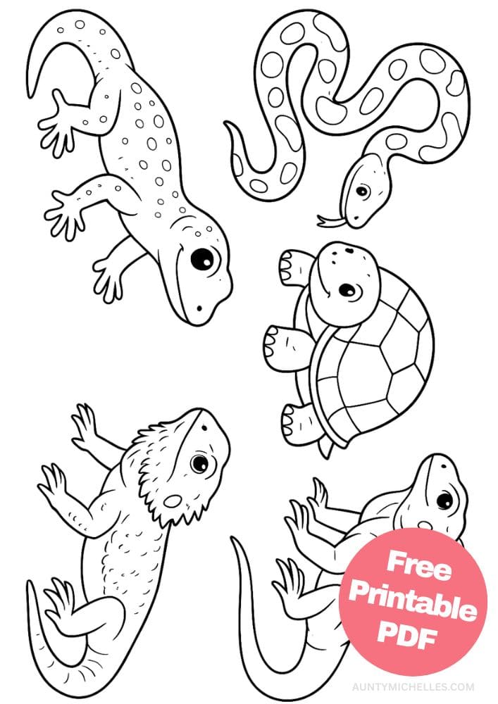 Free Printable Reptile Coloring Pages for Kids Colouring Book snake lizard turtle geiko bearded dragon iguana