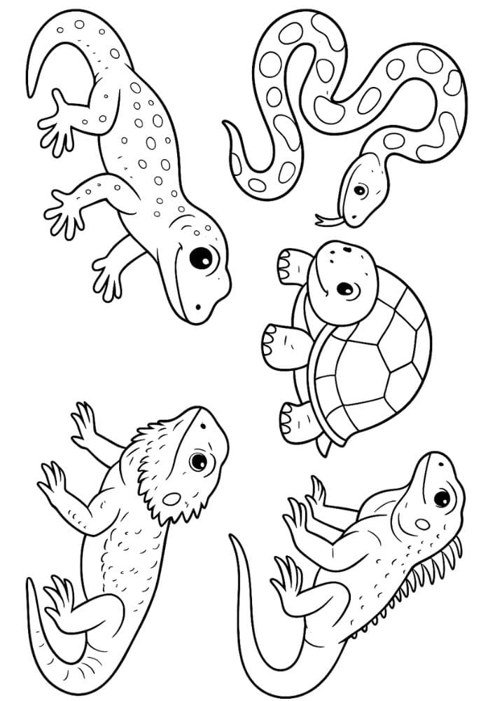 Free Printable Reptile Coloring Pages for Kids Colouring Book snake lizard turtle geiko bearded dragon iguana