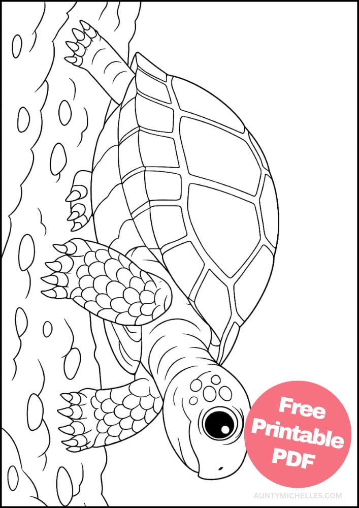 Free Printable Reptile Coloring Pages for Kids Colouring Book turtle realistic
