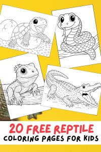 Free Printable Reptile Coloring Pages for Kids, Colouring Book, PDF Printout, Lizard, Turtle, Reptiles, Alligator, Crocodile, Snake, Gecko, Iguana, Bearded Dragon, Anole, Sea Turtle