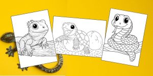 Free Printable Reptile Coloring Pages for Kids - Aunty Michelle's