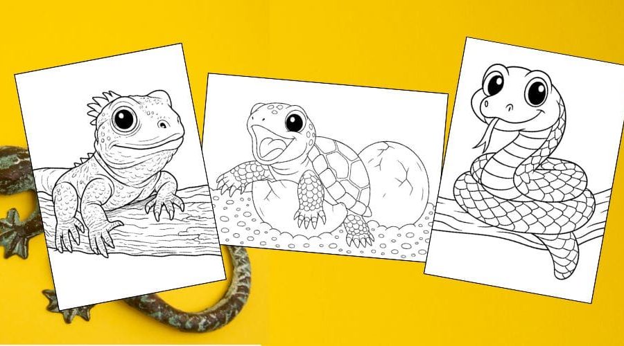 Free Printable Reptile Coloring Pages for Kids