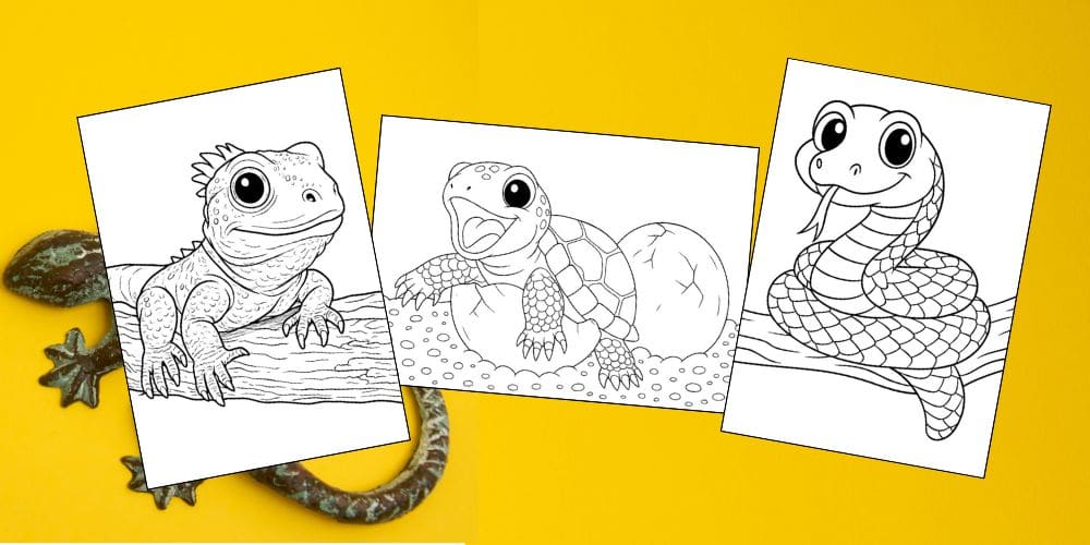 Free Printable Reptile Coloring Pages for Kids