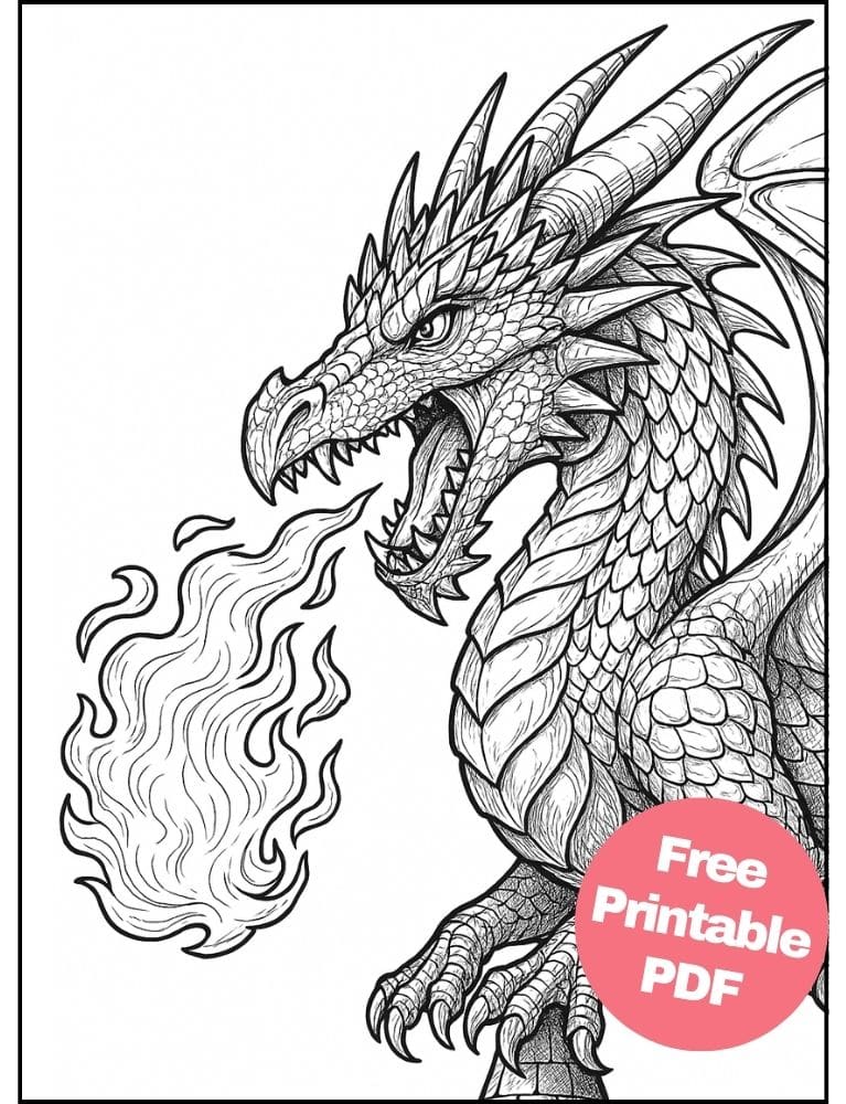 Free Printable Dragon Coloring Pages for Kids Colouring Book Download Medieval Dragons fire breathing realistic