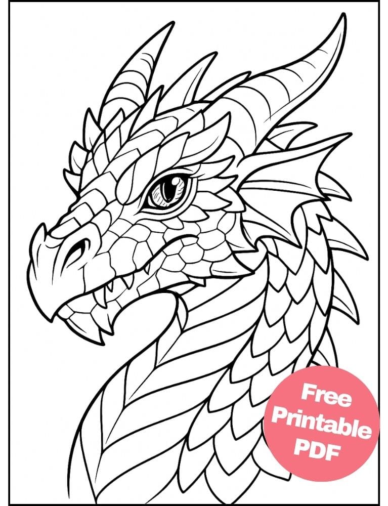 Free Printable Dragon Coloring Pages for Kids Colouring Book Download Medieval Dragons head face scales