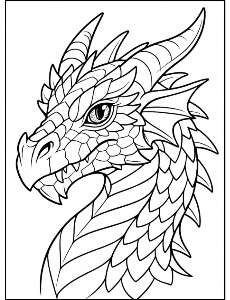 Free Printable Dragon Coloring Pages for Kids Colouring Book Download Medieval Dragons head face scales