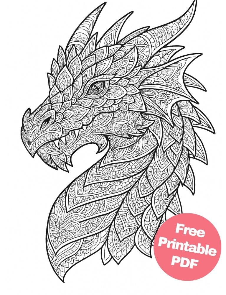 Free Printable Dragon Coloring Pages for Kids Colouring Book Download Medieval Dragons mandala head adult teen