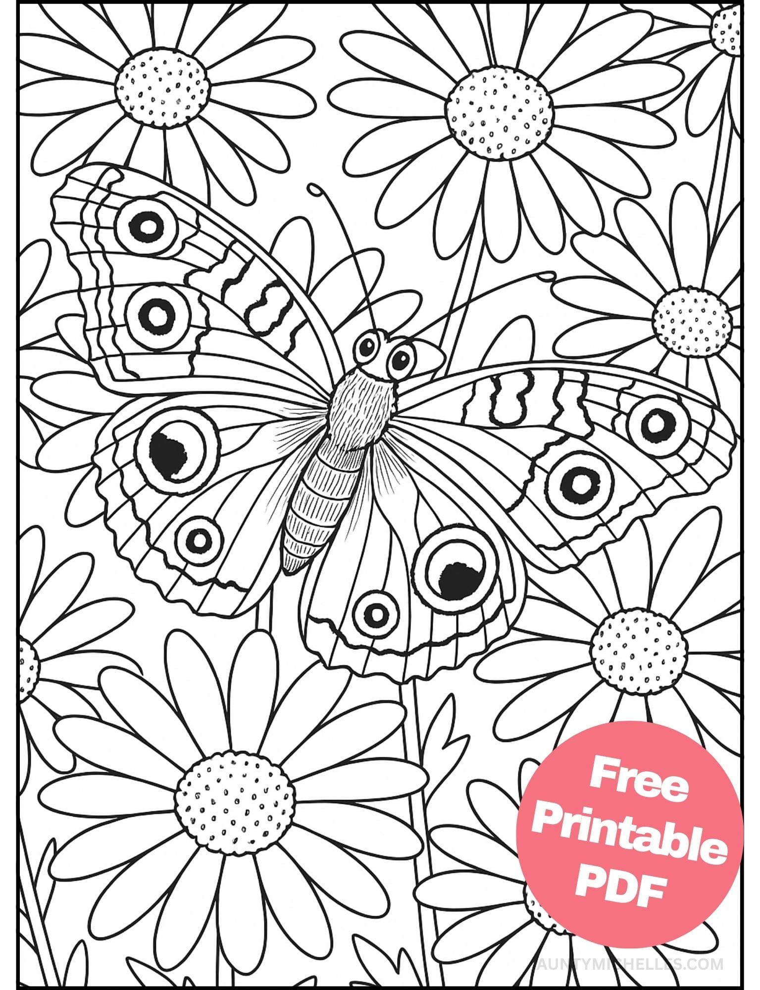 Free Printable Butterfly Coloring Pages for Kids Colouring Book Printout Butterflies Pretty Insect daisy wings