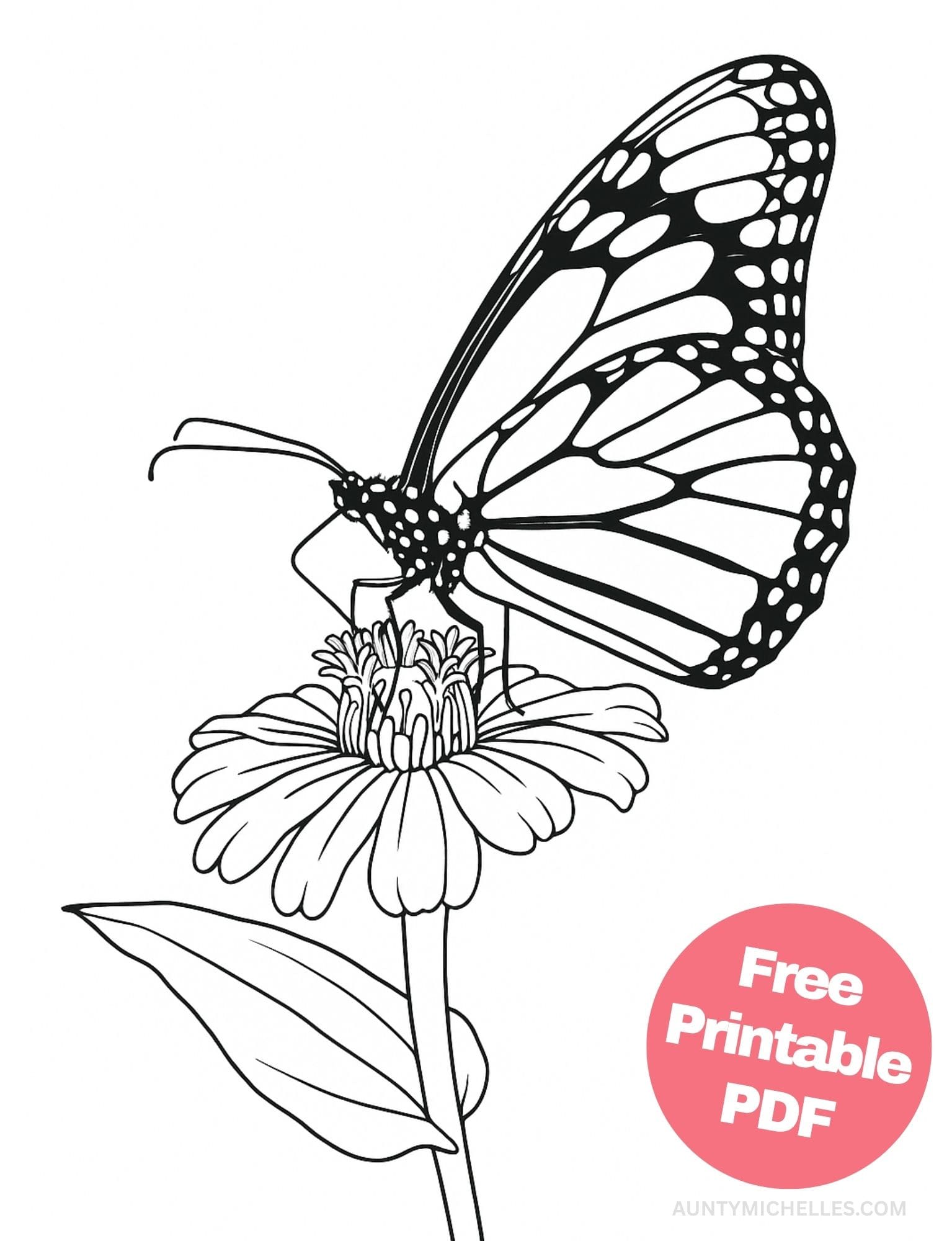 Free Printable Butterfly Coloring Pages for Kids Colouring Book Printout Butterflies Pretty Insect flower wings monarch realistic