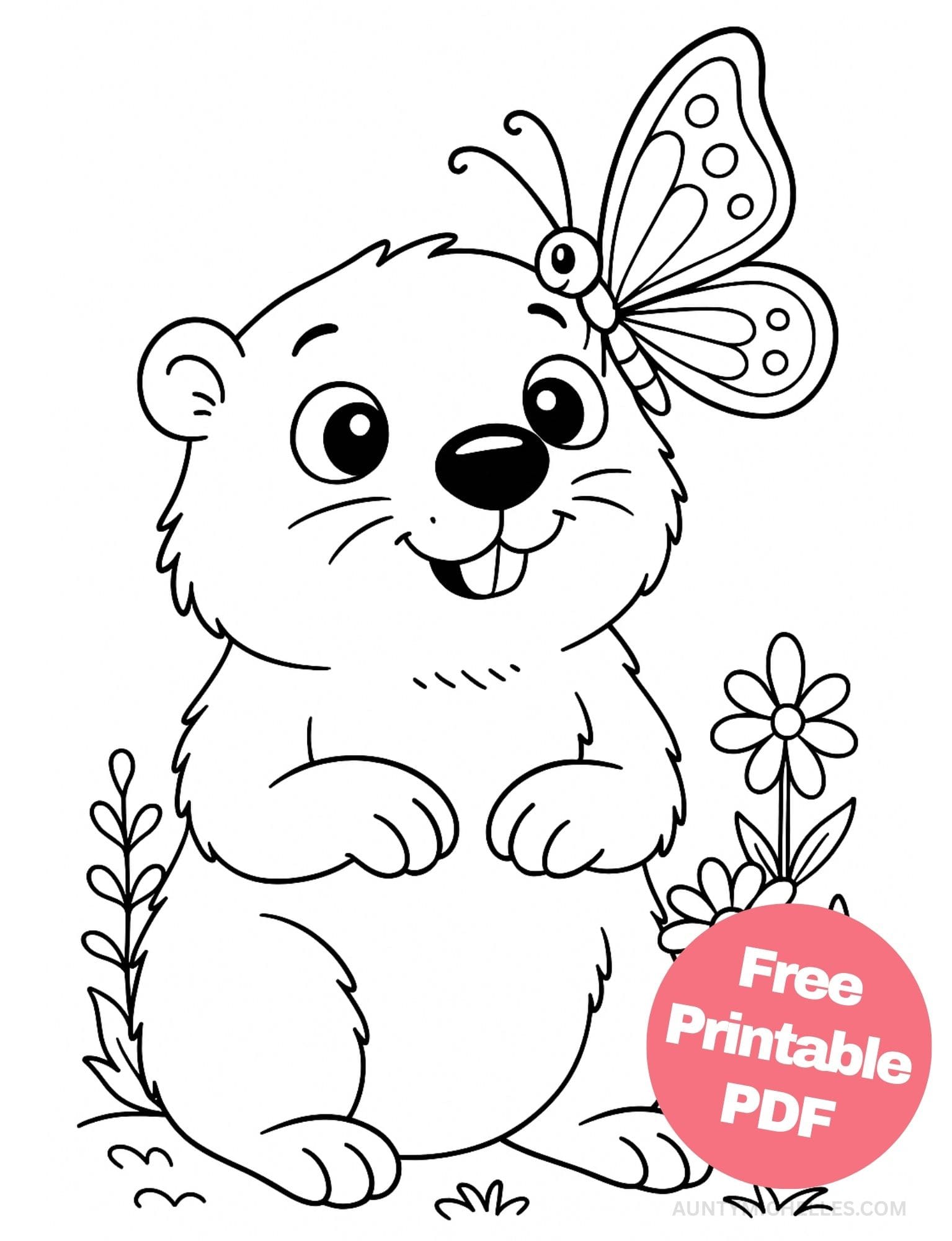 Free Printable Butterfly Coloring Pages for Kids Colouring Book Printout Butterflies Pretty Insect groundhog cute flower
