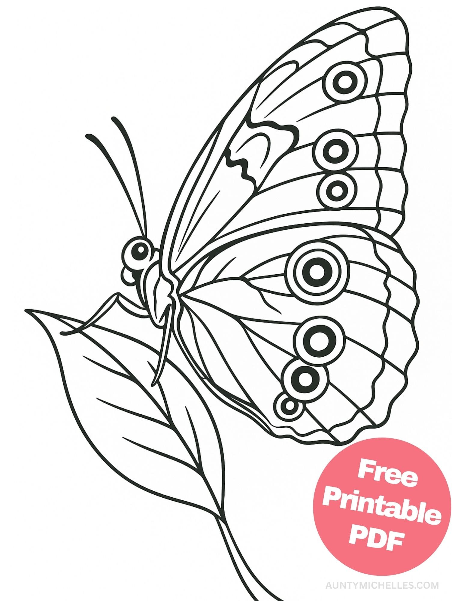 Free Printable Butterfly Coloring Pages for Kids Colouring Book Printout Butterflies Pretty Insect leaf realistic moth