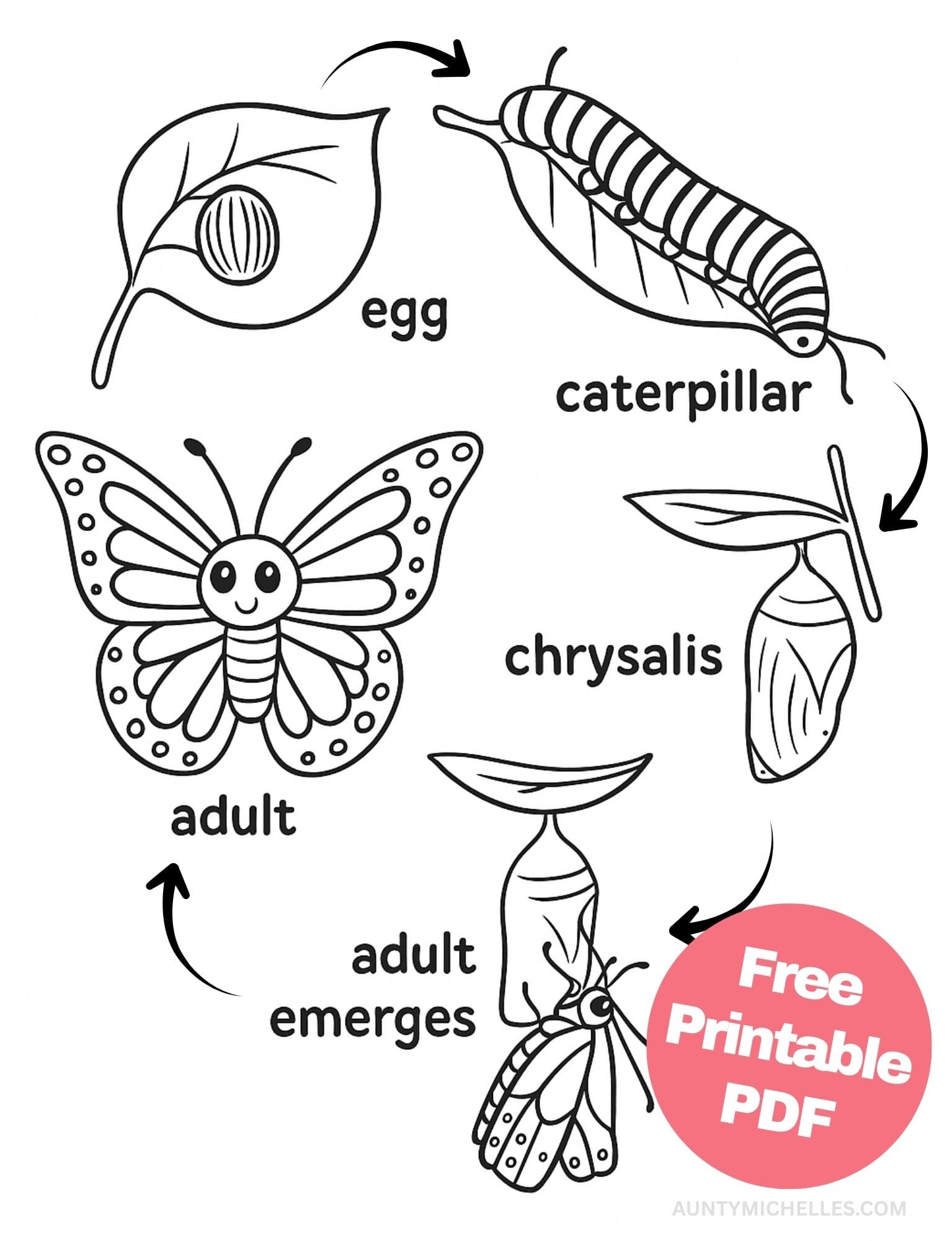 Free Printable Butterfly Coloring Pages for Kids Colouring Book Printout Butterflies Pretty Insect life cycle metamorphosis