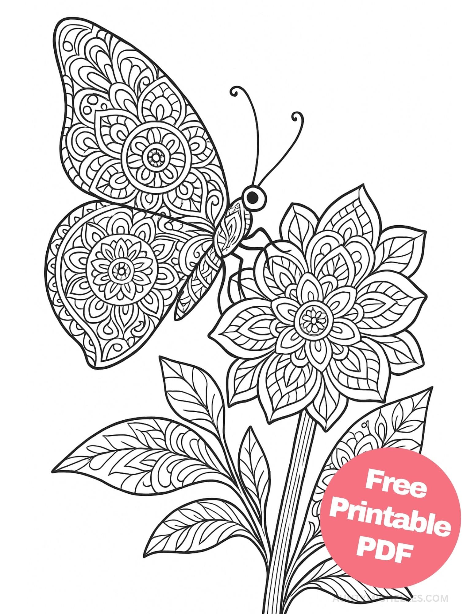 Free Printable Butterfly Coloring Pages for Kids Colouring Book Printout Butterflies Pretty Insect mandala flower meditation mindful