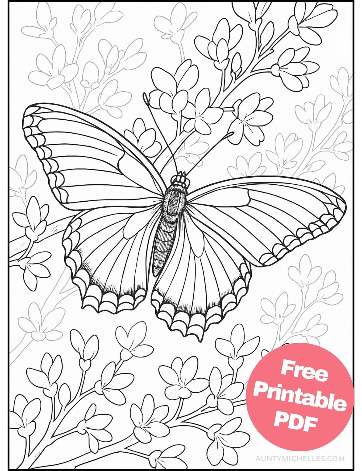 Free Printable Butterfly Coloring Pages for Kids Colouring Book Printout Butterflies Pretty Insect realistic flower adult