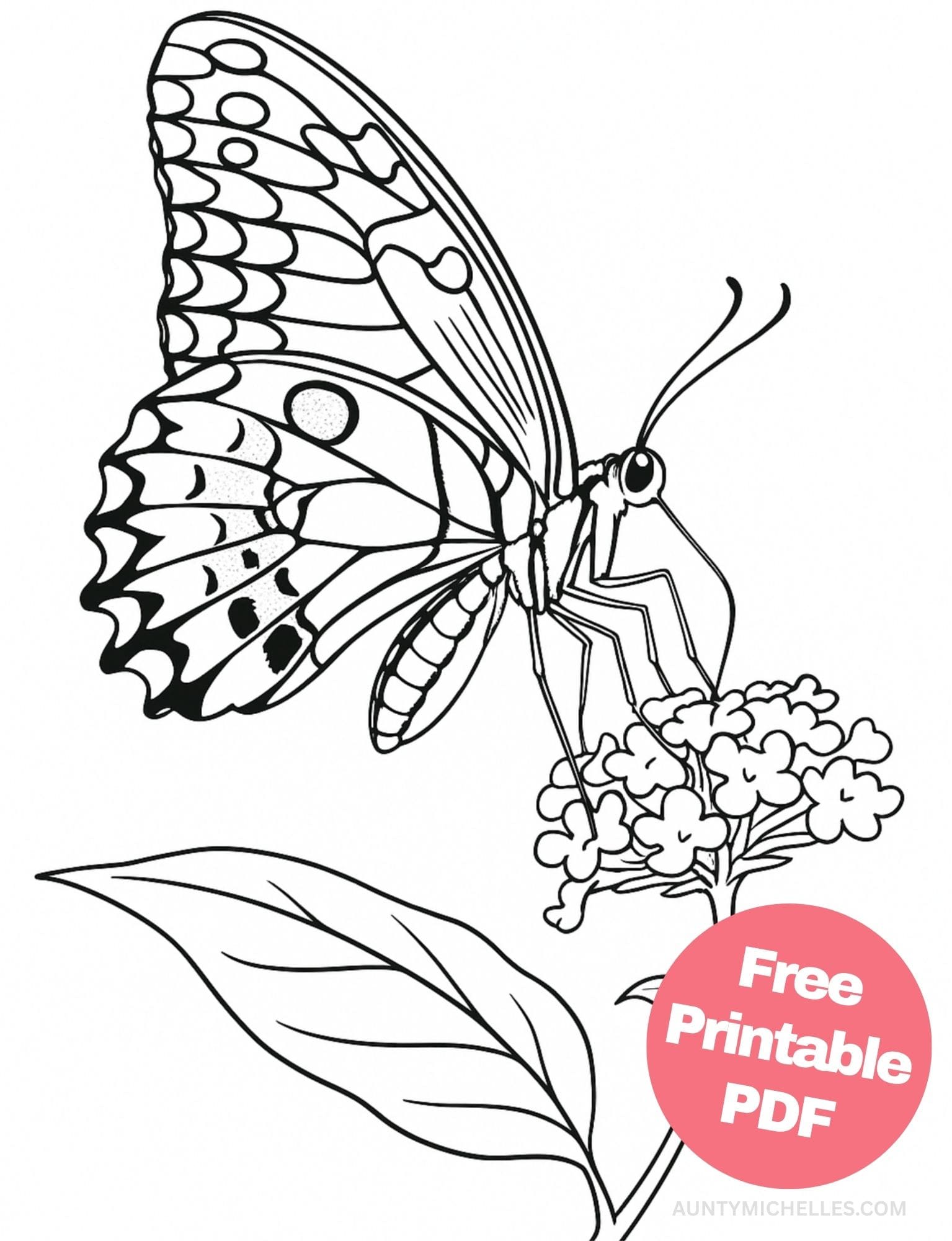 Free Printable Butterfly Coloring Pages for Kids Colouring Book Printout Butterflies Pretty Insect realistic flower