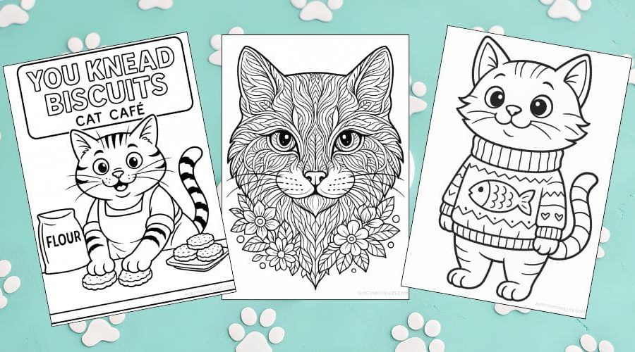 Free Printable Cat Coloring Pages for Kids Colouring Book Printout