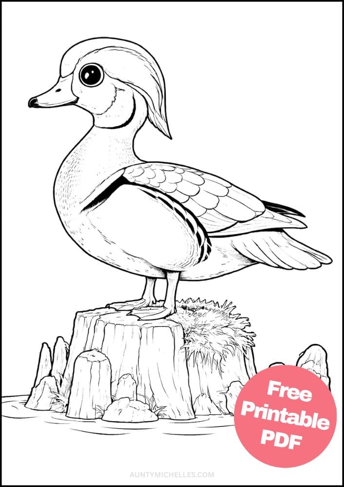 Free Printable Bird Coloring Pages for Kids Animal Activities Colouring Sheets 10wood duck