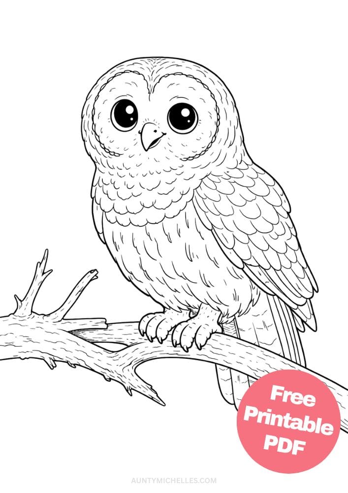 Free Printable Bird Coloring Pages for Kids Animal Activities Colouring Sheets 12 barn owl