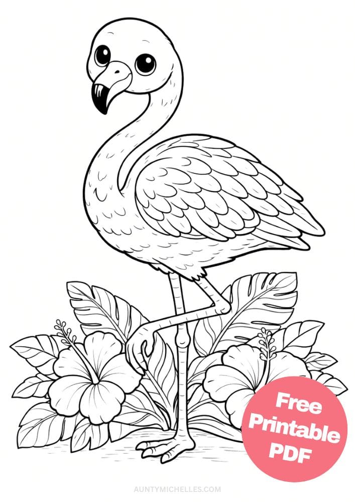 Free Printable Bird Coloring Pages for Kids Animal Activities Colouring Sheets 15 flamingo