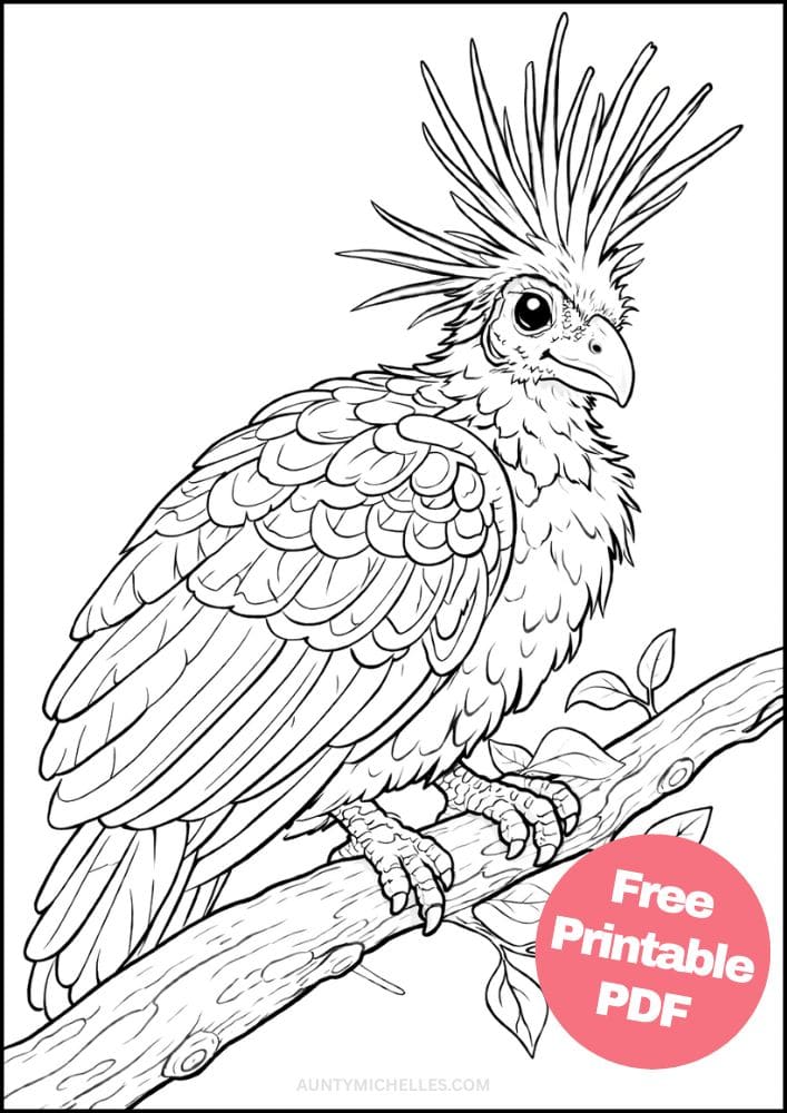 Free Printable Bird Coloring Pages for Kids Animal Activities Colouring Sheets 16 hoatzin