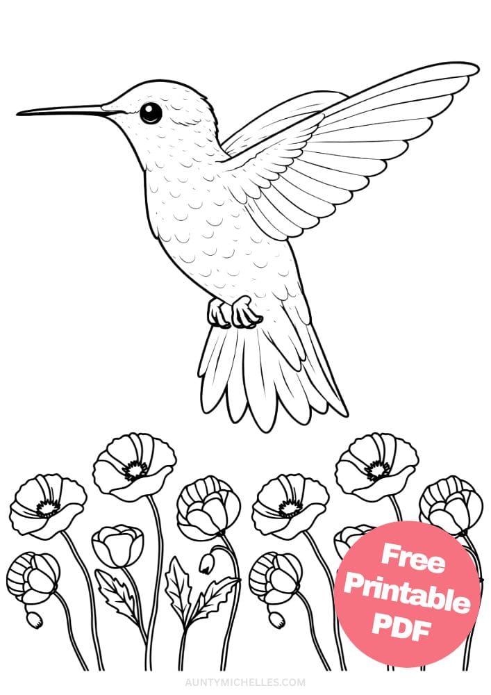Free Printable Bird Coloring Pages for Kids Animal Activities Colouring Sheets 17 hummingbird
