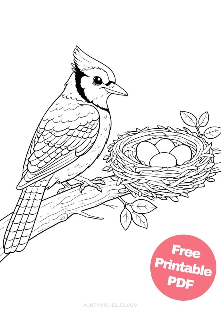 Free Printable Bird Coloring Pages for Kids Animal Activities Colouring Sheets 18 blue jay cardinal
