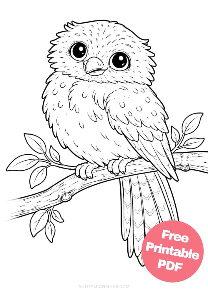 Free Printable Bird Coloring Pages for Kids Animal Activities Colouring Sheets 2 Rufous
