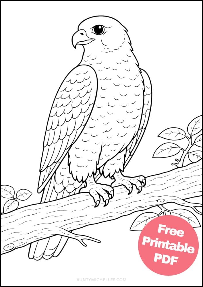 Free Printable Bird Coloring Pages for Kids Animal Activities Colouring Sheets 20 falcon