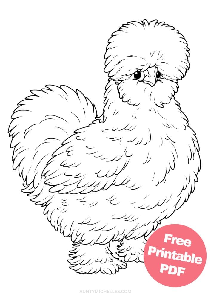 Free Printable Bird Coloring Pages for Kids Animal Activities Colouring Sheets 3 silkie chicken