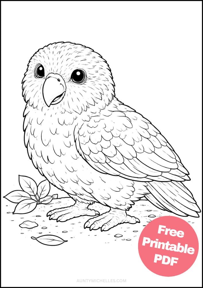 Free Printable Bird Coloring Pages for Kids Animal Activities Colouring Sheets 5 kakapo