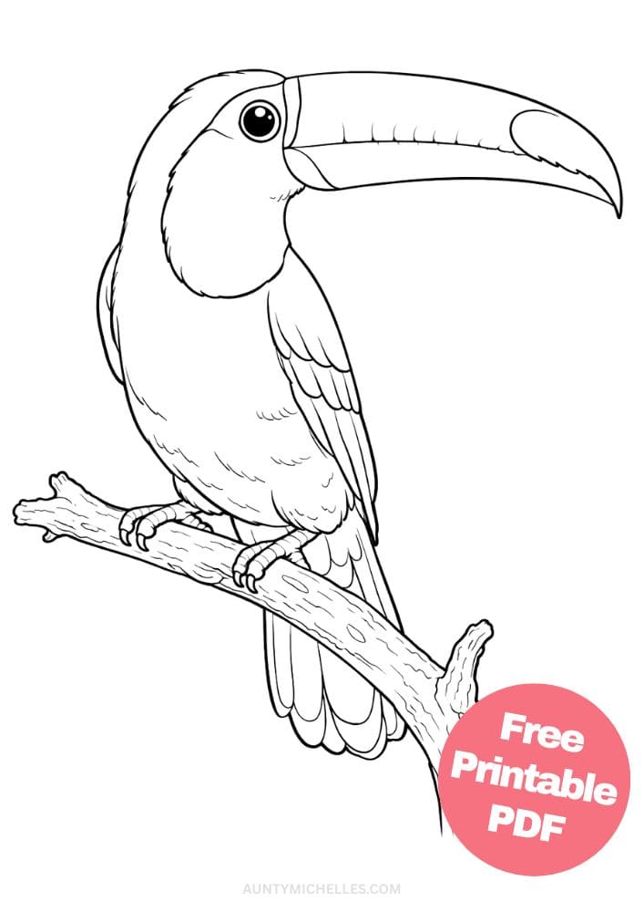 Free Printable Bird Coloring Pages for Kids Animal Activities Colouring Sheets 6 toucan