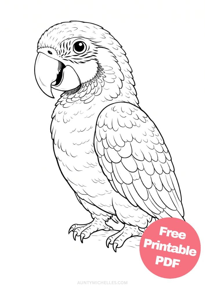 Free Printable Bird Coloring Pages for Kids Animal Activities Colouring Sheets 7 parrot